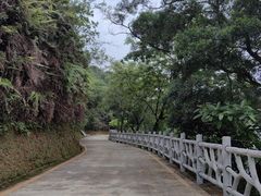 -叱石风景区