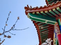 -白水寺森林公园