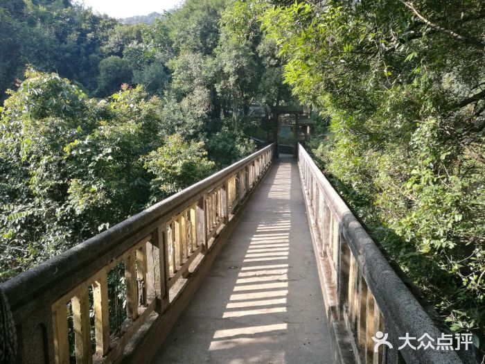 鼎湖山风景区图片