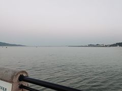 -幸福门