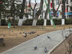 -宗角禄康公园