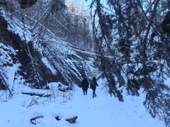 -峡谷浮石林景区