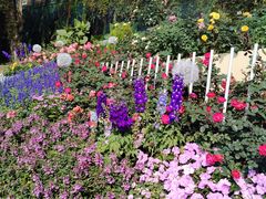 -人民公园(罗湖区)