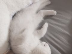 -佳雯宠物医院(金华南路分院)