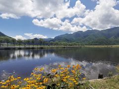 -大九湖