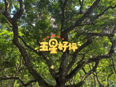 -广州白江湖森林公园