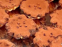 -HOT CRUSH趁热集合·现烤面包(环球港店)