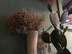 -ZooYoo佐佑咖啡(鼓楼店)