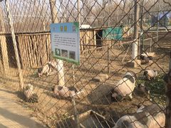 -草根堂农场