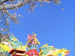 -武汉园博园(武汉自然博物馆)