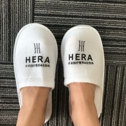 -贞禾医美·连锁