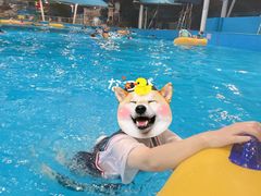 -杭州浪浪浪水公园