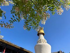 -五台山风景名胜区-罗睺寺