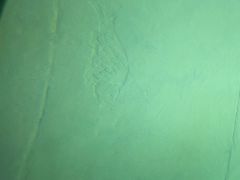 -白鹤梁水下博物馆
