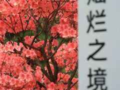 -深圳市中科院仙湖植物园
