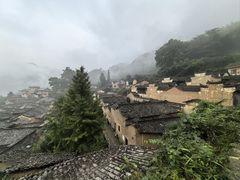 -杨家堂村