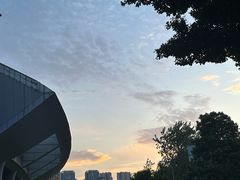 -重庆市奥林匹克体育中心-游泳跳水馆