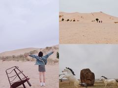 -亿利库布其七星湖沙漠生态旅游区