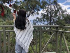 -苍山感通索道