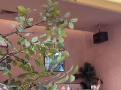 -墨纪Mojí墨西哥餐厅(官舍店)