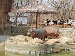 -沈阳森林动物园