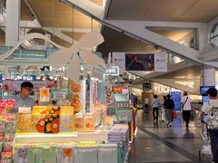 -厦门高崎国际机场-T3航站楼