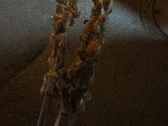 -新疆阿力烧烤