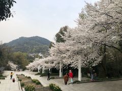 -杭州少年儿童公园