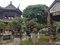 -碧江金楼