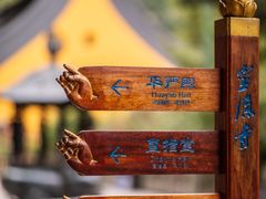 -灵隐飞来峰景区