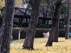 -塘沽森林公园
