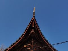 -上海青龙寺