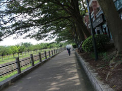 -北京师范大学(珠海校区)