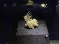 -湖南省地质博物馆