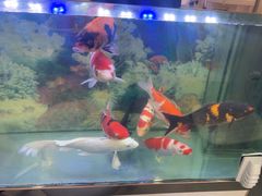 -朋朋修脚(友好广场店)