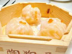 陶陶居大虾饺-陶陶居酒家(第十甫路总店)