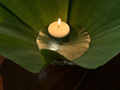 -曲廊院(东四十一条店)