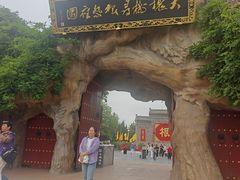 -大槐树寻根祭祖园