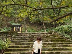 -广州市石门国家森林公园