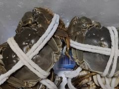 -黄记大闸蟹专卖店·活蟹·醉蟹