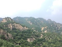 -大岭沟猕猴桃谷风景区