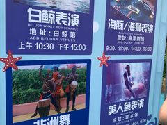 -秦皇岛乐岛海洋王国