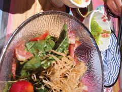 获奖的菠菜培根沙拉-有喜屋·日料·居酒屋(旭辉广场店)
