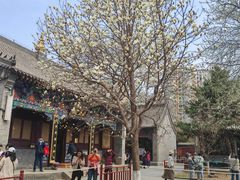 -护国法轮寺