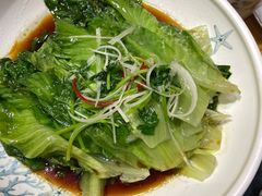 -十二毡房蒙餐·蒙古包