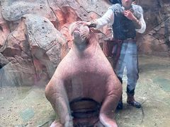 -波塞冬海底世界