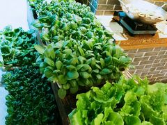 -姚江春中餐厅·太平洋大酒店