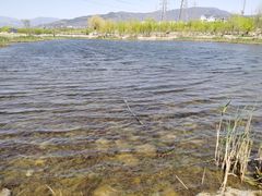 -永定河休闲森林公园