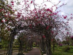 -南宁花花大世界景区
