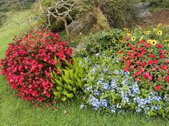 -浙江西子宾馆·瑶园咖啡厅